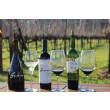 Tour Gran Reserva - Vale dos Vinhedos